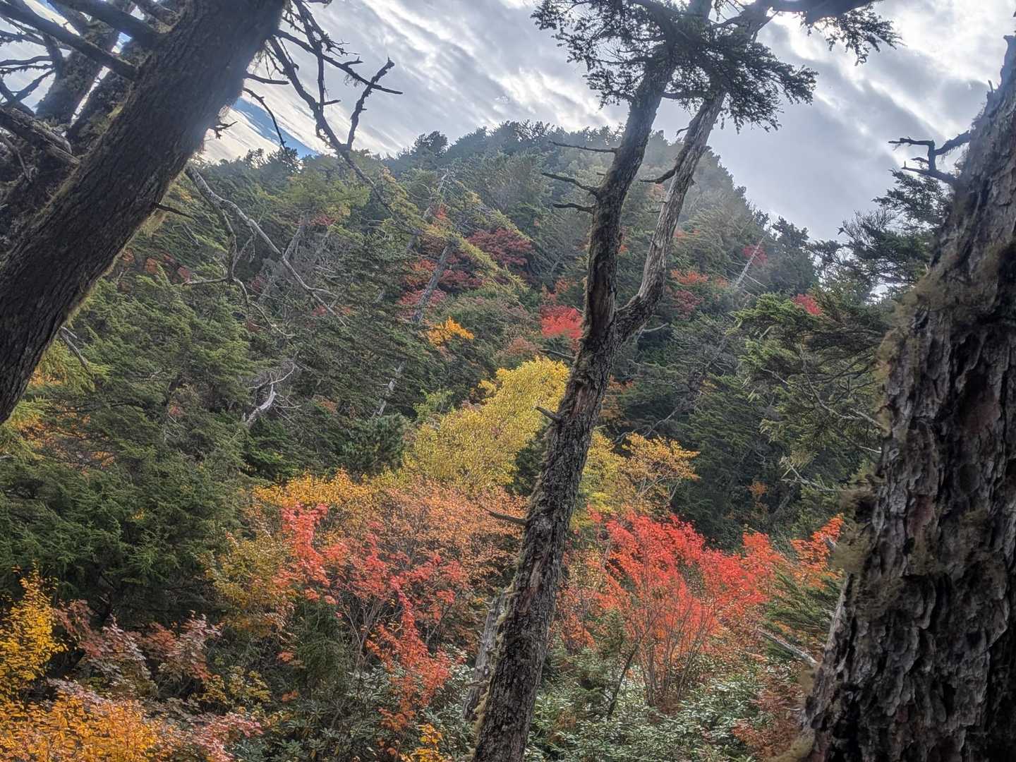 紅葉と有明山✨