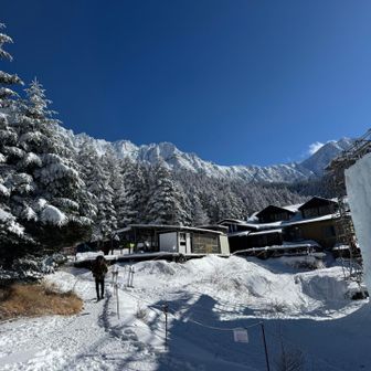 綺麗なシラビソの森を歩いて赤岳鉱泉まで来ました。右手には鉱泉名物の〝アイスキャンディー〟と呼ばれるアイスクライミングの人工ゲレンデが写っていますが、まだ制作途上なので誰も登っていませんでした⛏️🧗