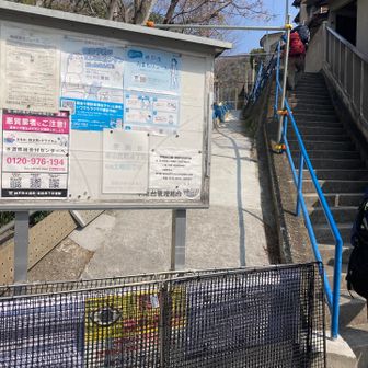 階段を登っていきます