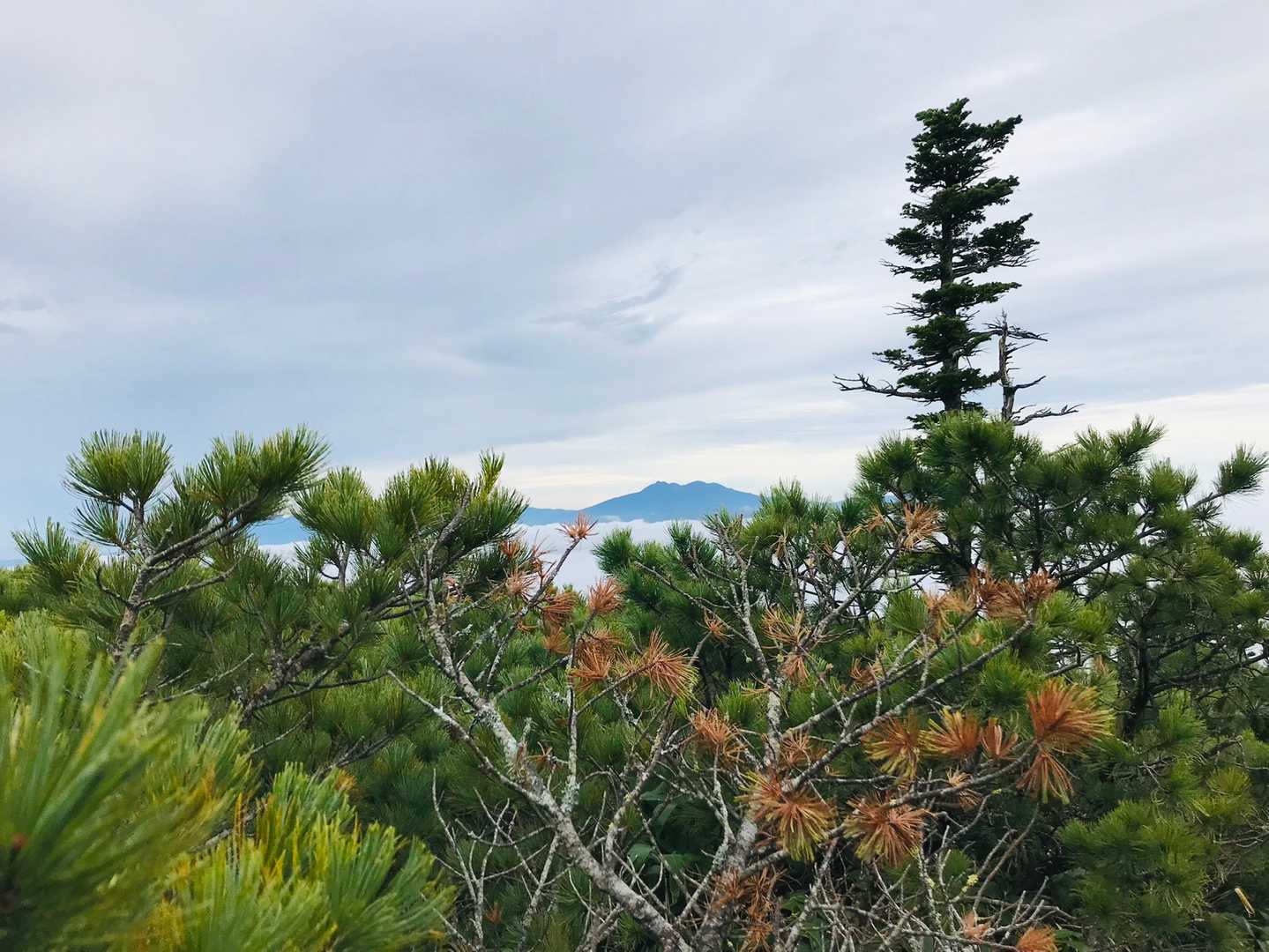 おっと❗️斜里岳がひょっこりはん😁