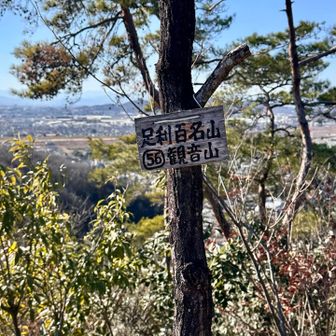 観音山
今日はこれで最後。

本日もとっても楽しい山歩き
おつかれさんでーす！