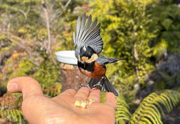 ヒロ | YAMAP / ヤマップ