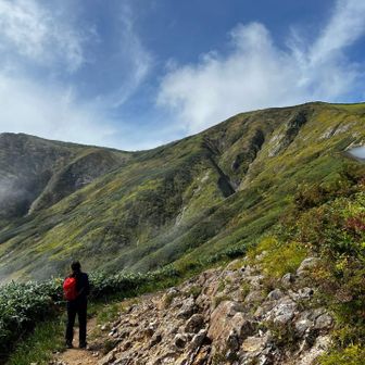 さくさくぱんだ