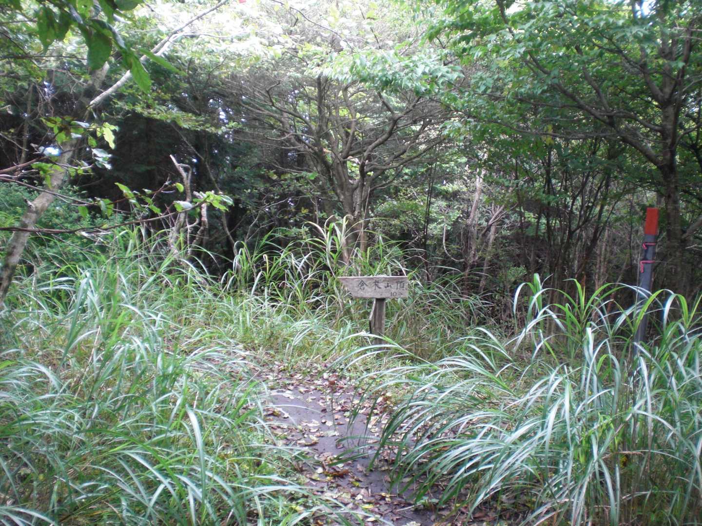 山頂稜線に上がった。尾根を東へ進む