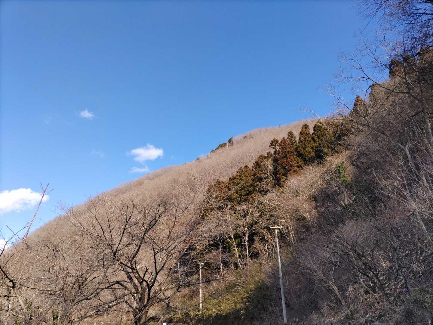 けっこうな急斜面なのに、つづら折りルートが上手に作られていて感心しました👍
さあ、お仕事お仕事💨💨💨