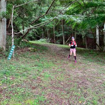 ぞろぞろ峠からは、打って変わって快適で走れる登山道に♪
所要時間1時間半程度を想定してましたが、思ったよりハードなルートで2時間近くかかりました💦