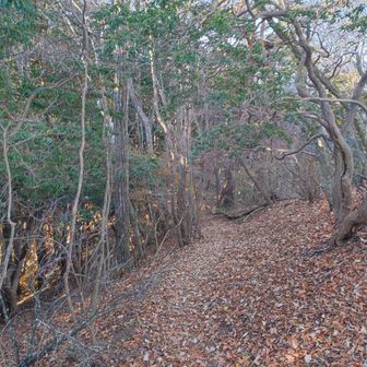 グングン下っていきます