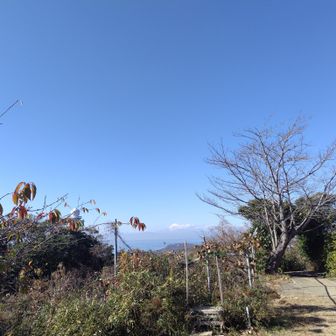 大楠山山頂広場からも富士山が見えました