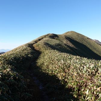 こんな稜線歩きは他では中々体験出来ないと思います