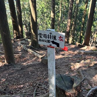 さあ、急降の始まりです。