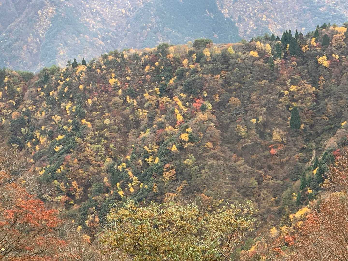 釈迦ヶ岳-猫岳 周回コースの写真