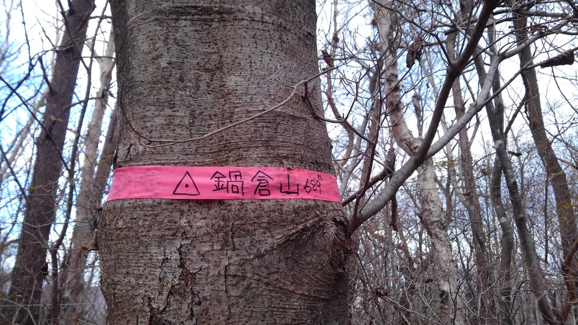 ▲鍋倉山▲