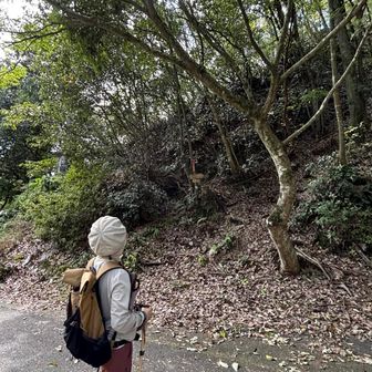 舗装路に降りましたっ👍
