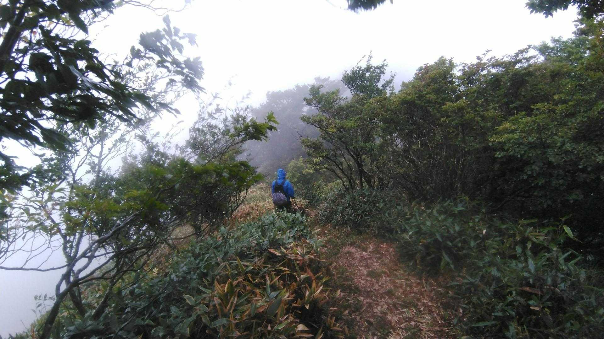 強風で景色0なのでとにかく頂上に向かいます😑