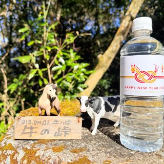 NewYearボトル🐴