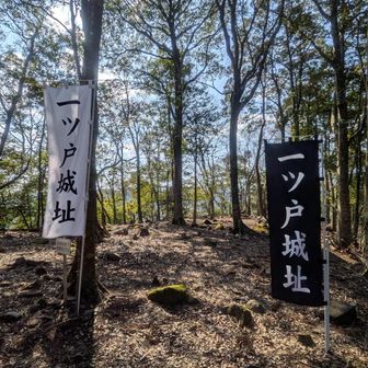 黒いのぼり旗は絡まっていましたが、皆で綺麗に直しておきました