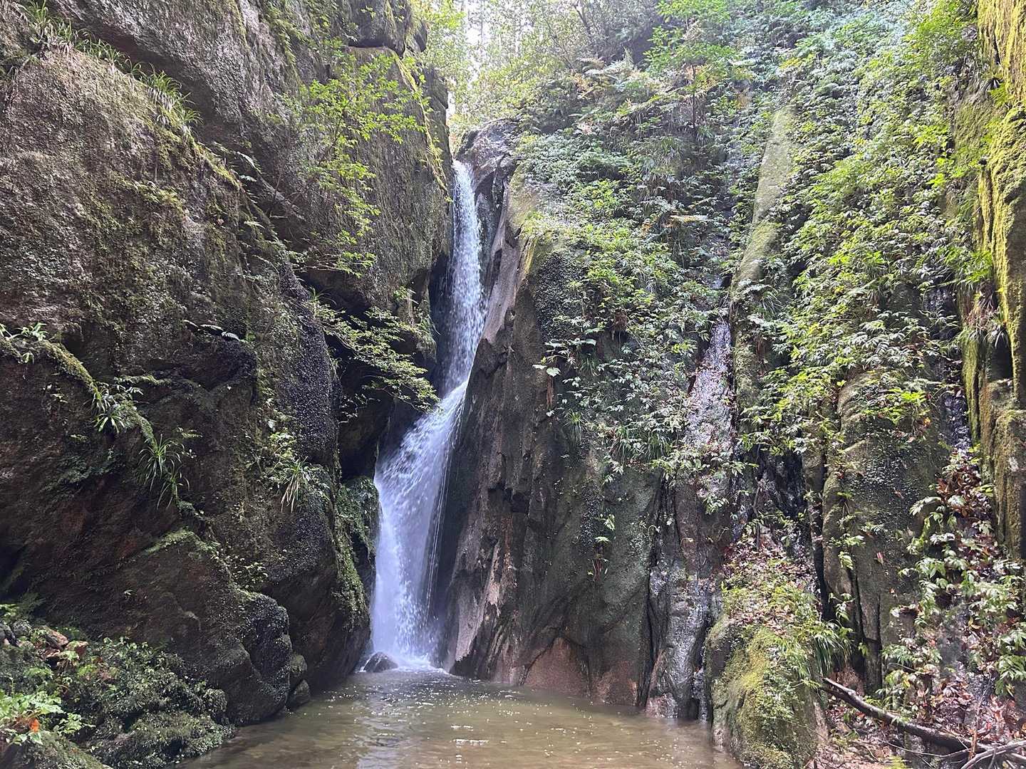 玉峰山 往復コースの写真