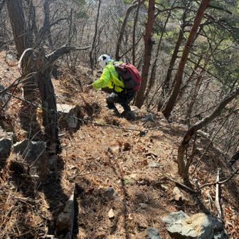 少しでも危ない所にはロープが設置されていてホントにこの山は地元の方に愛されているんだと実感