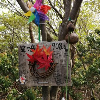 マジックでお礼を書かせていただきました。
いつも整備ありがとうございます。
