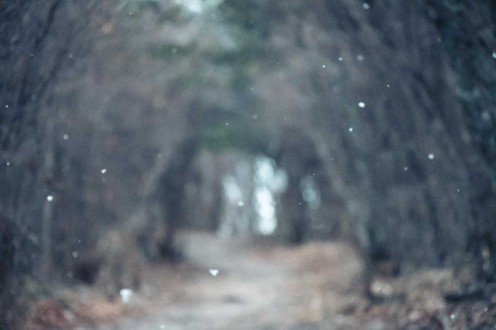 雪がチラつきました