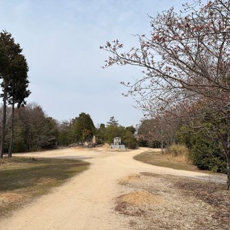 高雄山の山頂は宇喜多氏一族のお墓です。