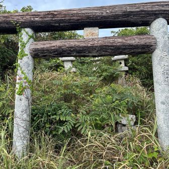 ここが金比羅山山頂です。
鳥居⛩️の向こうに祠がありますが、草ぼうぼうで入れません^_^
少し入って手を合わせました🖐️