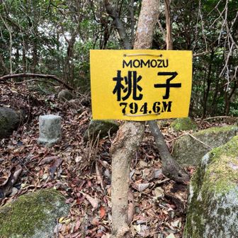 さて、ここから荒川峠を目指します。