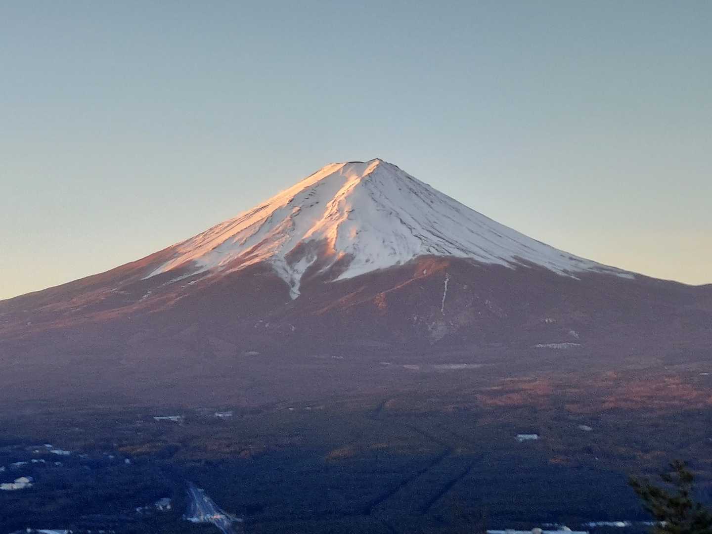 赤さが増してる