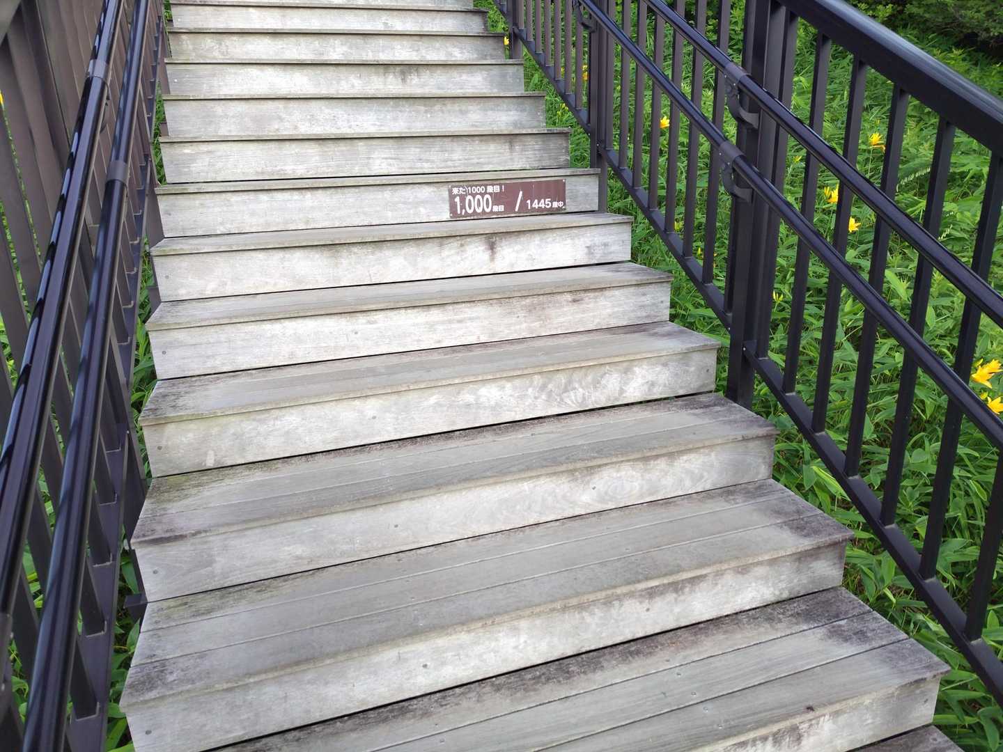 1000段