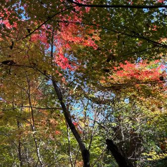 まだ所々綺麗です‼️