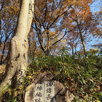 信長の陣跡ある！