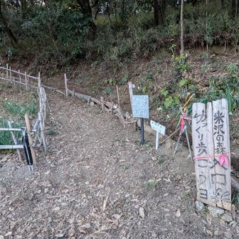 第三駐車場より