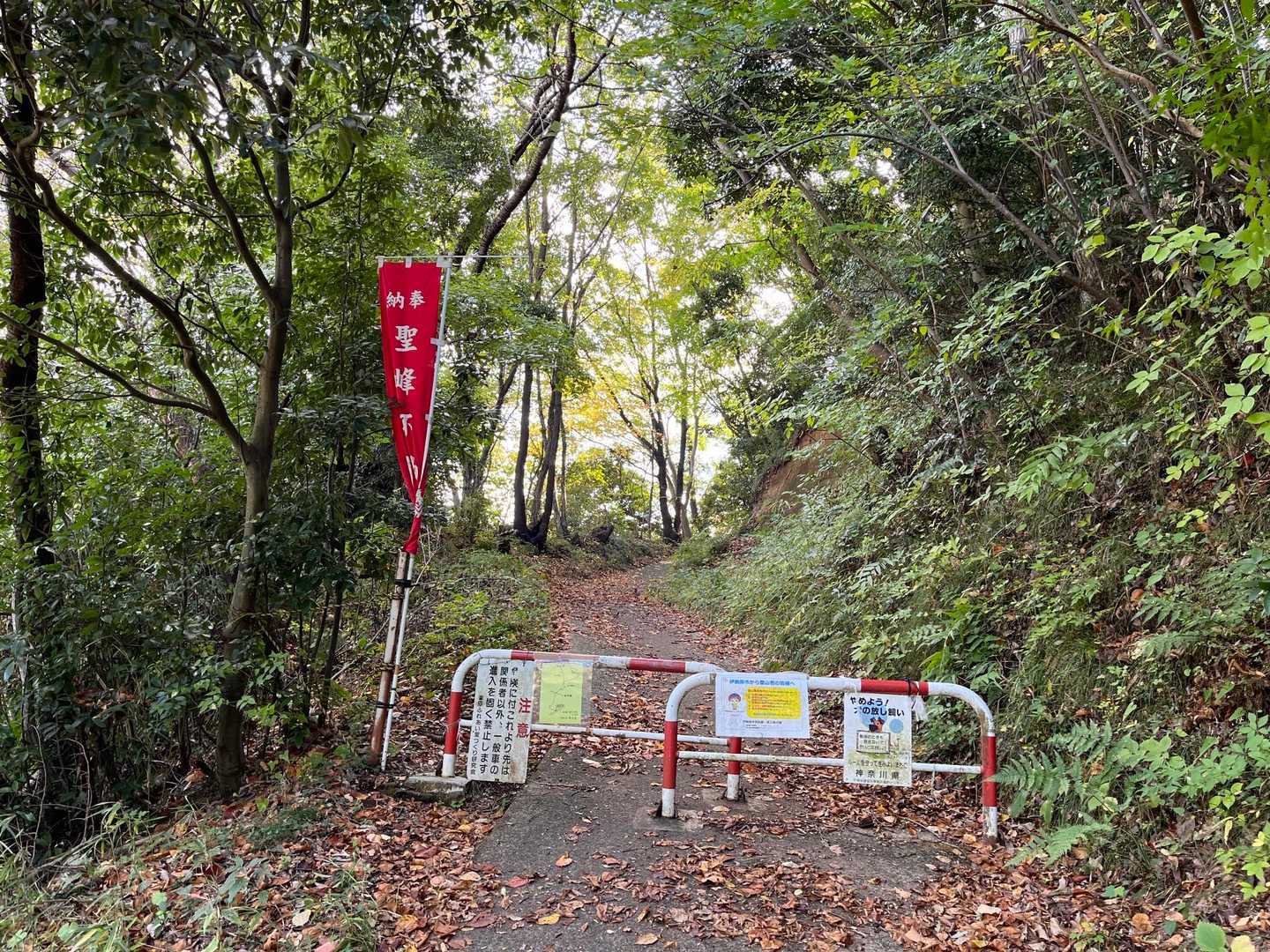 では、聖峰の🍁紅葉調査に行って来ます🫡
