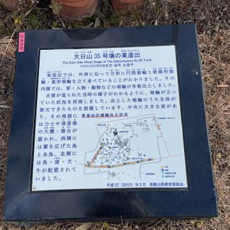 埴輪の並んでる順番わかります