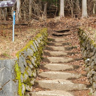 プラス12段。合計174段。思っていたほどの段数ではないです。