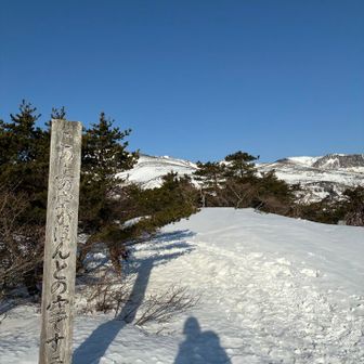 ゆきんこちゃんlevel17