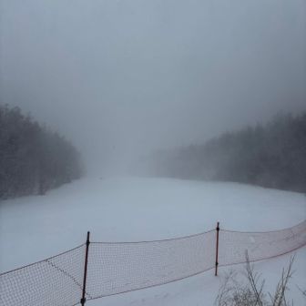 しっかり❄️粉雪…