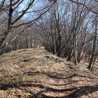 とにかく気持ちいいです。