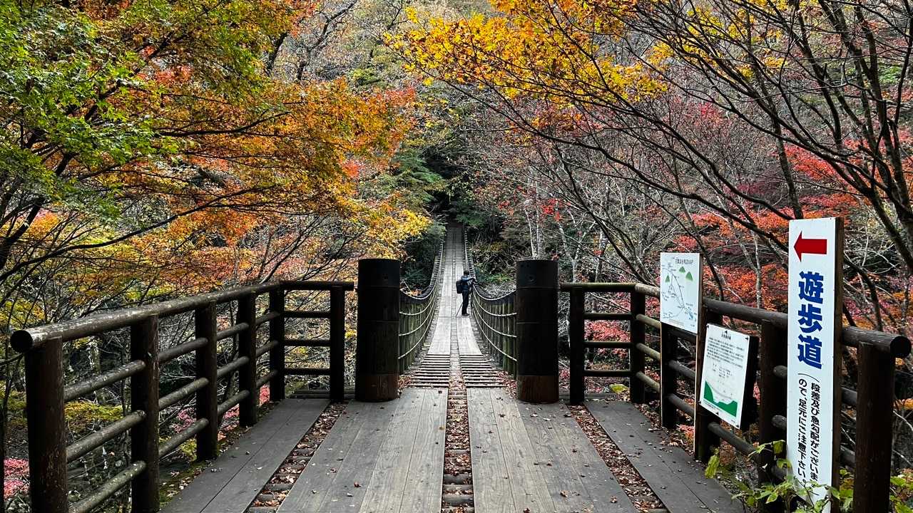土岳登山口-土岳 縦走コースの写真
