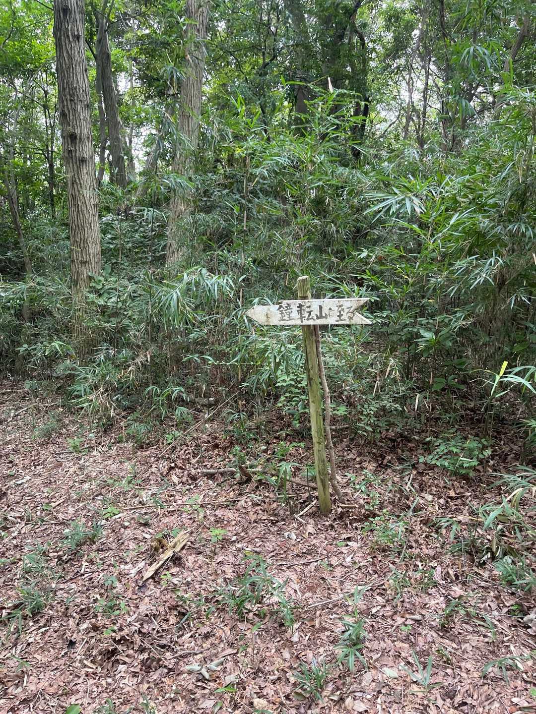 あたご天狗の森登山口-鐘転山 往復コースの写真