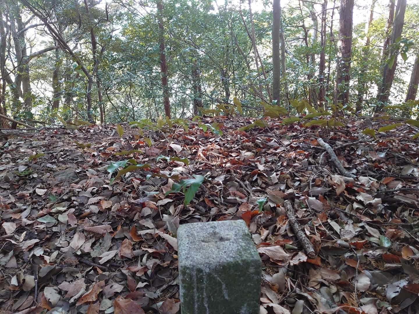 お稲荷さんから少し行った山頂らしき所は展望無し。