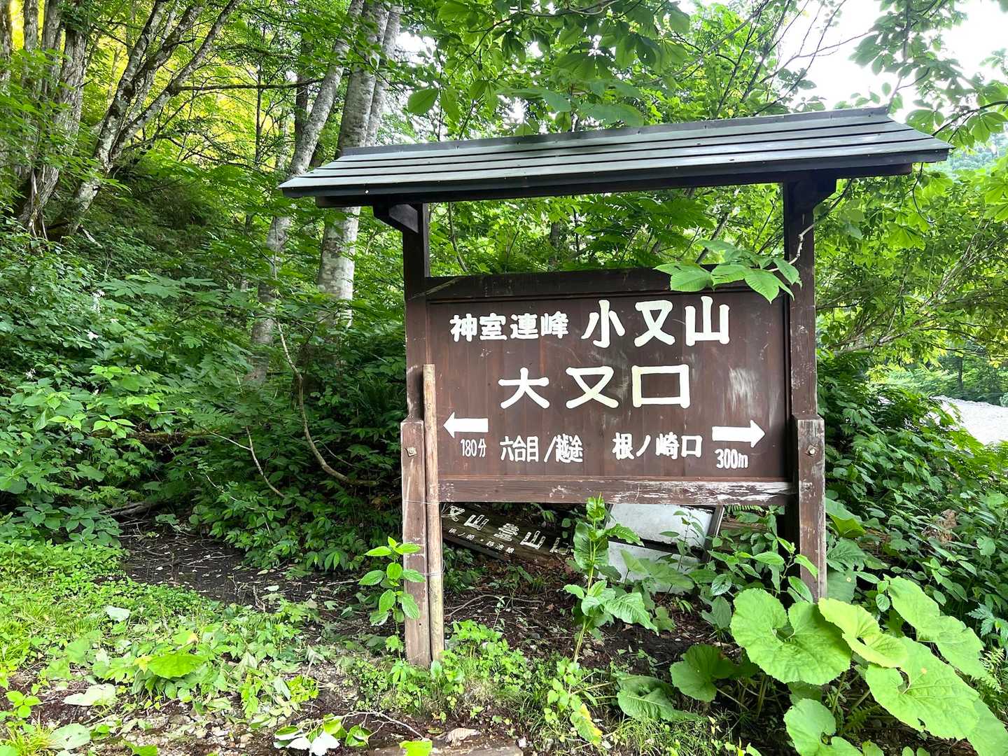 ここから入りまっす٩( ᐛ )و
小又…大又…面白い🤣