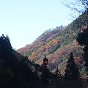 登山口から振り返る