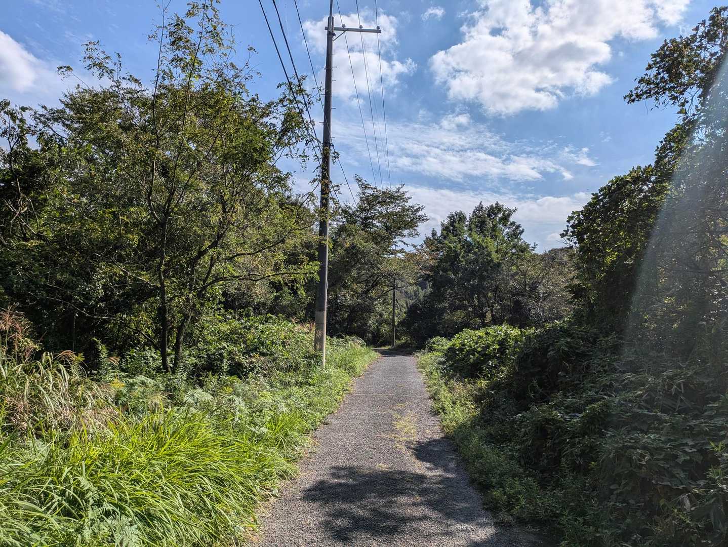 すぐに舗装路に合流しました。