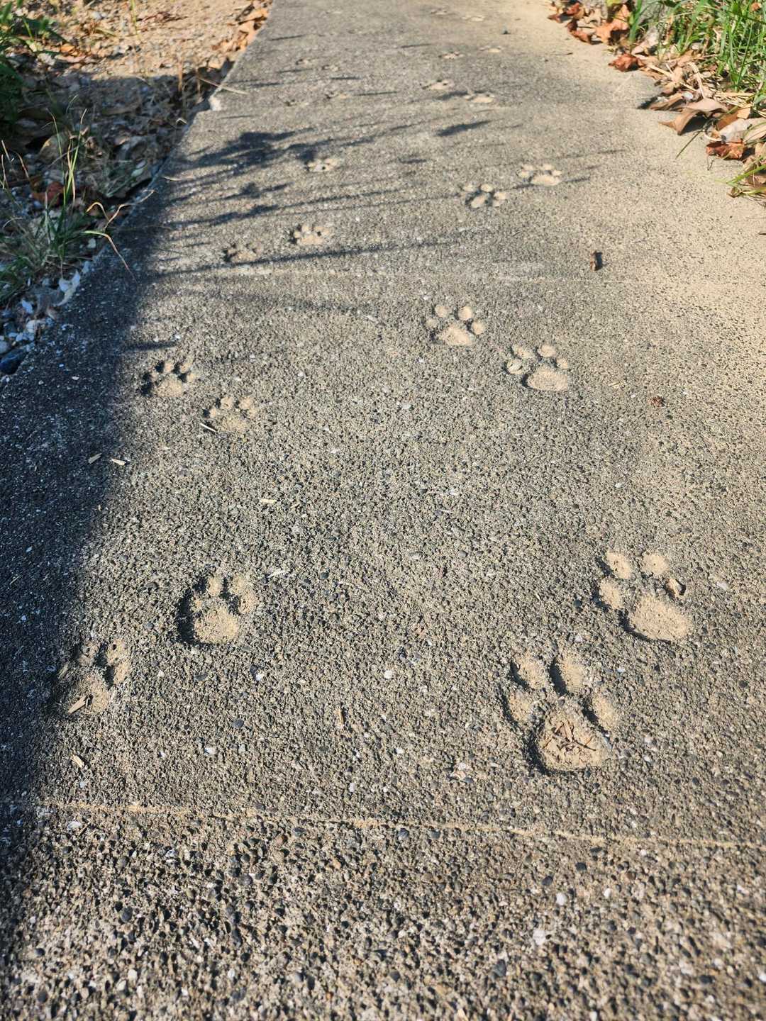 皿ヶ峰 往復コースの写真