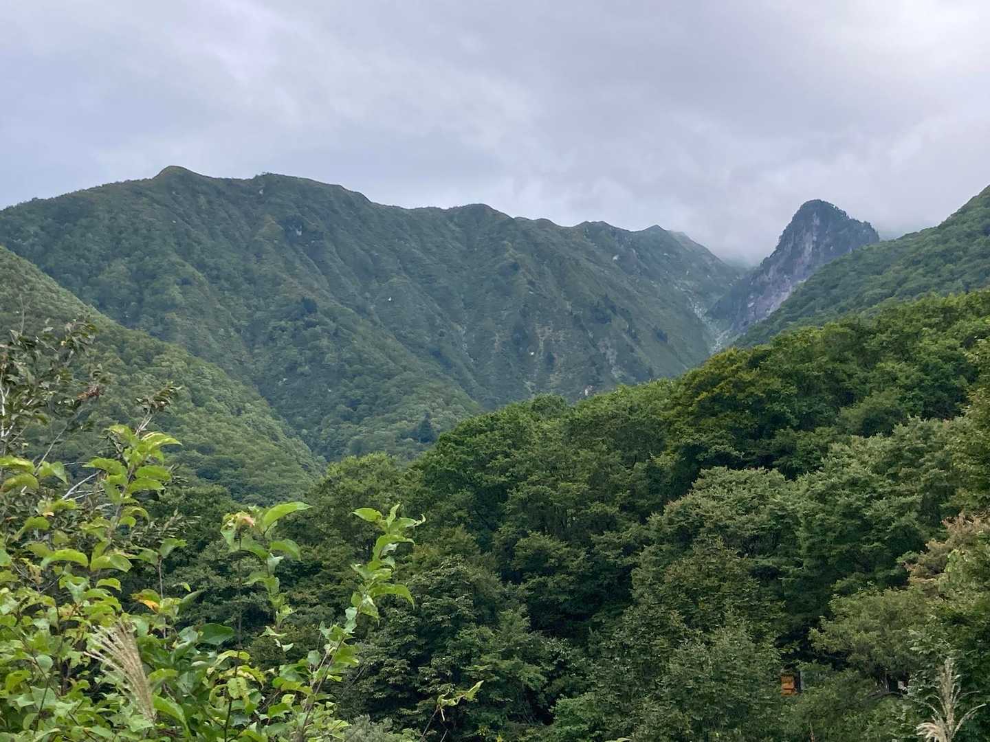 巻機山登山口-前巻機-巻機山 往復コースの写真
