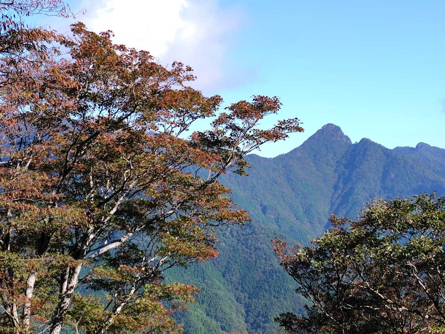 尾根に到着　涼しい風😀
大障子岩の眺望👏