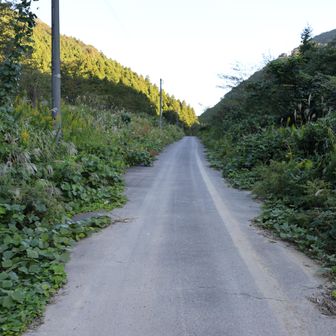 駐車場を後にして富士写ヶ岳の大内登山口に
向かいます。周回ルートを取りますが、最初
に富士写ヶ岳に登る時計回りとしました。