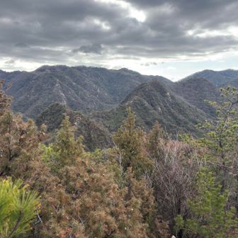 この先の尾根を登っていくのか