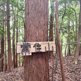 次なるピークに到着。
天気悪くなりそうだからここまでにすることも考えてスタートしたけど…
周回するに決まってる🤭